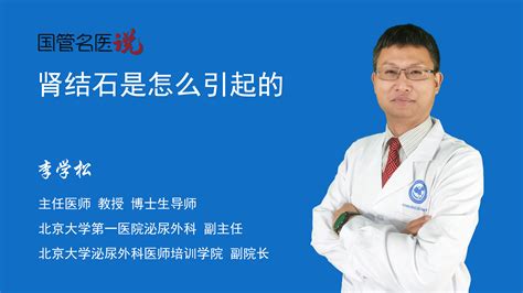 扫描电镜下的肾结石碎石-复纳科学仪器（上海）有限公司