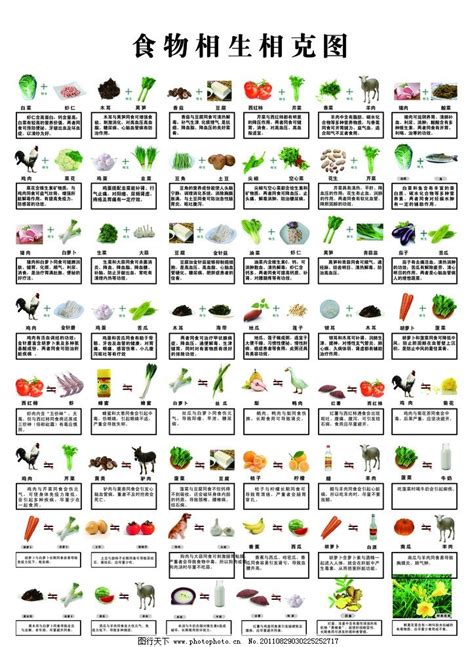 蔬菜食物相克大全表,水果相克表,食物相克大全表(第3页)_大山谷图库