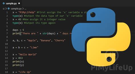 Python编程基础，什么是变量，有什么用 - Labno3