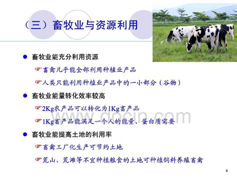 2.3.3以畜牧业为主的农业地域类型ppt模板素材免费下载_红动中国