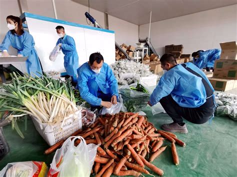 银川市金凤区线上销售全力保障市民蔬菜需求-宁夏新闻网