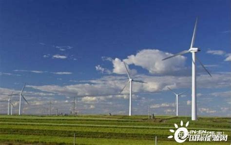 贵州工程公司 基层动态 河南风脉太康100兆瓦风电项目升压站倒送电及首台风机并网一次成功