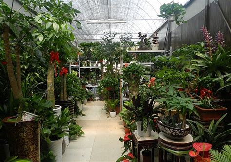 植物店名称,绿植类的店名,花店名字大全_大山谷图库