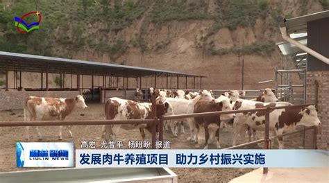 我所积极帮扶基层养殖户复工复产_中国农业科学水牛研究所