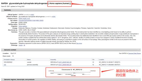 ncbi查找目的基因序列_小坑科研技术日记（七）教你如何利用NCBI寻找目的基因..._youye sun的博客-CSDN博客