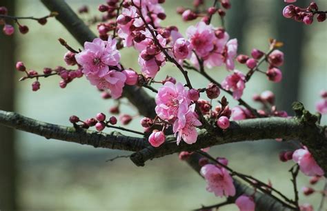 春暖花开，万物复苏，又到了一年中最美好的季节……__财经头条