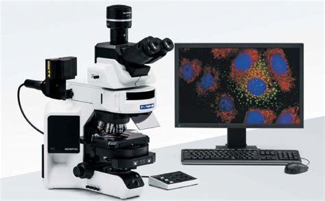 尼康Ci正置显微镜 - 上海巍途光电技术有限公司