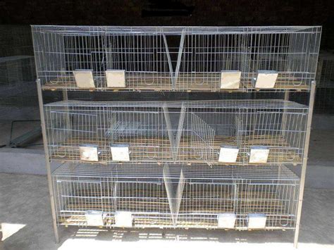 现货小型运输笼铁丝兔笼豚鼠笼市场鸽子笼小型宠物笼子-阿里巴巴