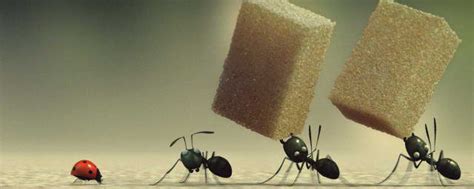 蚂蚁的行动。蚂蚁桥团队团结，概念团队齐心协力