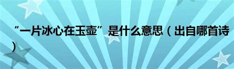 一片冰心在玉壶剧情介绍（1-24全集）大结局_电视剧_电视猫