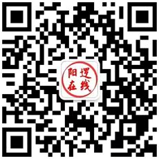 武汉市新洲区阳逻开发区工业园土地使用权及项上建筑物、承租方修建的道路。 - 司法拍卖 - 阿里资产