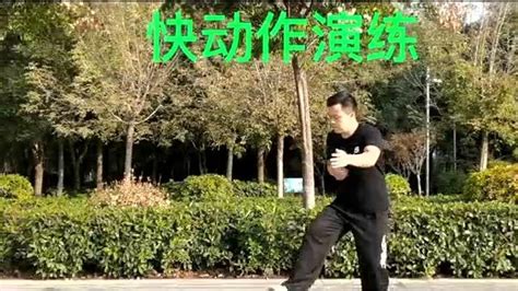 王西安老师现场演练四十八式太极拳散手教学！_腾讯视频