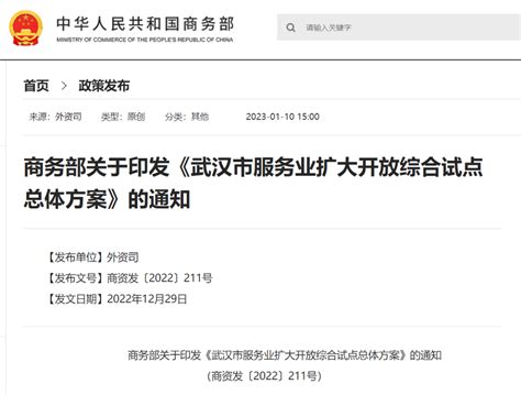 武汉服务业扩大开放综合试点方案发布