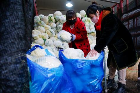 探访物美蔬菜加工厂：日均供应量超200吨 涉及130余种蔬菜_北京旅游网