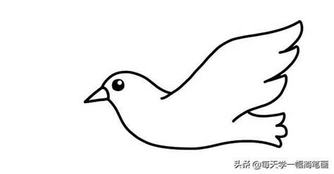 飞翔的白色鸽子简笔画要怎么画_飞翔的白色鸽子简笔画教程步骤