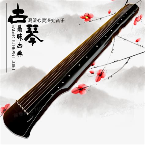 动漫琴丝图片