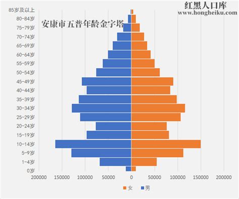 2022年[陕西]安康市人口第七次人口普查和历史人口数据-红黑人口库