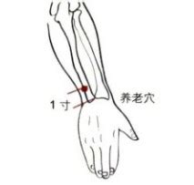 养老的准确位置图图片 养老的准确位置图图片