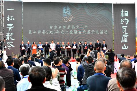 丰都：青龙乡首届茶文化节开幕-上游新闻 汇聚向上的力量