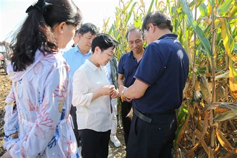 陕西省农业农村厅关于印发2021年全省春夏播农作物品种布局指导意见的通知 - 城固县人民政府