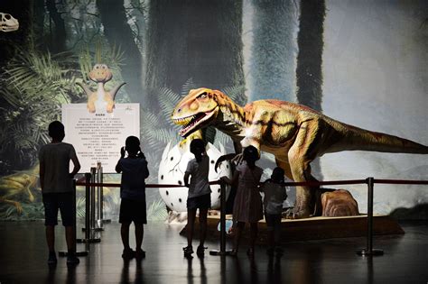 恐龙展加持暑期档，省博物馆周末人气骤增_南方plus_南方+