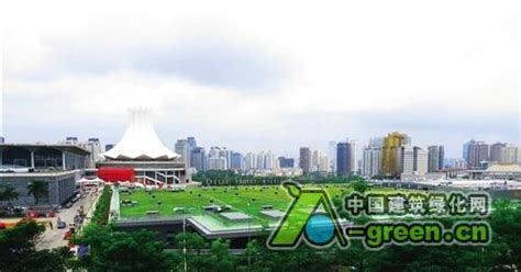 南宁市今年10条道路将“提档升级” 优化绿化功能_中国建筑绿化网