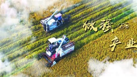 东营168万亩小麦开始收割，智慧农机成新宠凤凰网山东_凤凰网