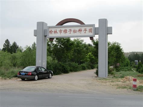 林木良种 陕西省榆林市国家樟子松良种基地 | 西安林木种苗网