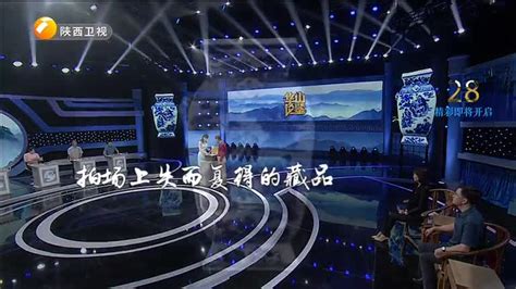 华山论鉴 (2022-11-13) - 陕西网络广播电视台