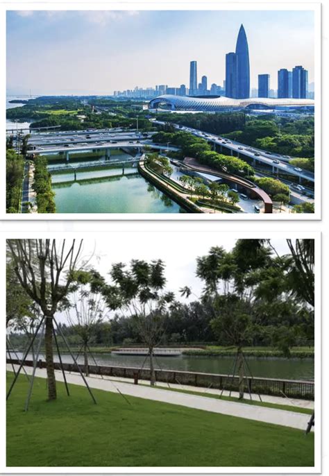 深圳大沙河生态公园项目-成功案例-深圳市宏大联合实业有限公司-ZDNS | 数据中心 | 智能制造 | 建筑智能化