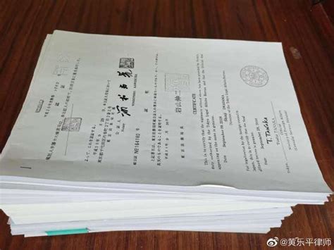 #江歌妈妈诉刘鑫#黄乐平律师手记（三）——关于调取日本证据材料的工作全记录 - 知乎