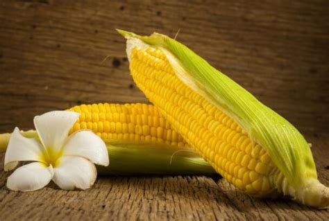 玉米什么时候是收获是最佳时期？_籽粒