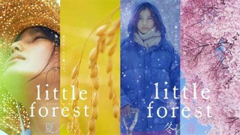 电影小森林夏秋篇及冬春篇在线观看和一些思考题 - 知乎