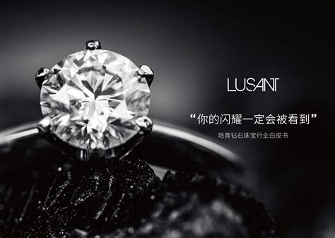 2023培育钻石珠宝行业白皮书-LUSANT_报告-报告厅