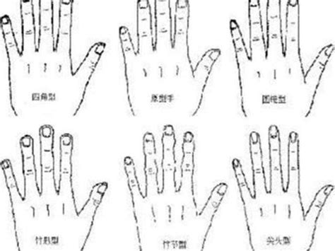 女生这5种常见手型，第3种是美女手，你属于哪一种手型|手型|指端|指甲_新浪新闻