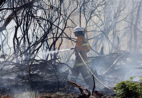 澳大利亚森林大火已致65人死亡(组图)_新闻中心_新浪网