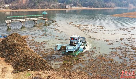 典型案例——武汉市南湖污水直排环境污染问题严重(2)-国际环保在线