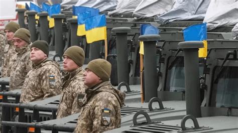 德国总统呼吁欧盟国家增加军事援助乌克兰的费用 - 2024年1月9日, 俄罗斯卫星通讯社