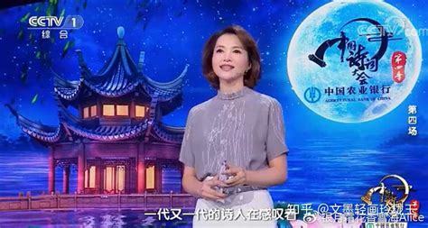 《中国诗词大会》康震短评《卜算子·咏梅》_腾讯视频