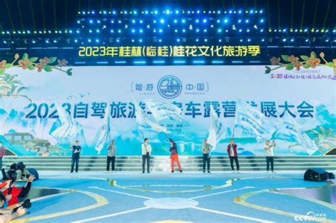 2023广西·桂林（临桂）东盟城市龙舟邀请赛举行-新华网