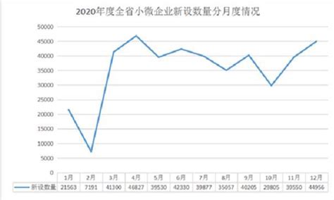 2020年浙江省新设小微企业42.82万户 同比增长4.07％|浙江省|杭州|市场监管局_新浪新闻