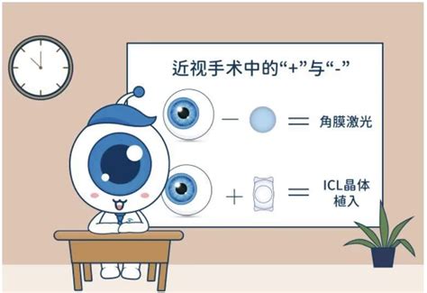 phloem fiber 的图像结果