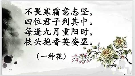 小学生必背古诗《菊花》带拼音和译文，唐代元稹诗词