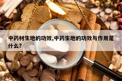 生地的功效与作用_中华康网