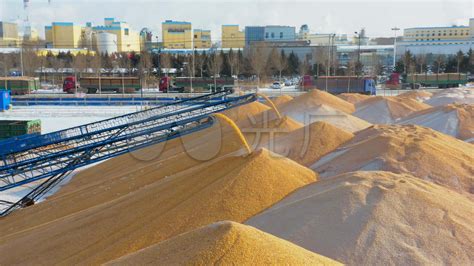 禹州严查粮食加工企业，杜绝超标粮食流向口粮市场-大河新闻