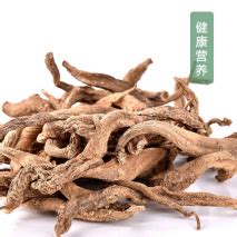 人参菜图片