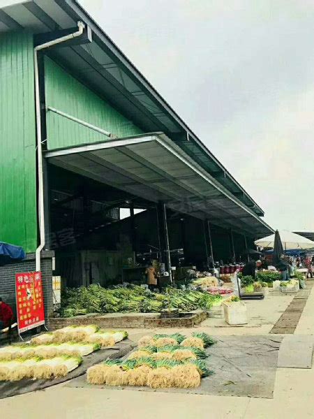 泸州泸州海吉星农产品批发市场-实景图(8) - 泸州安居客