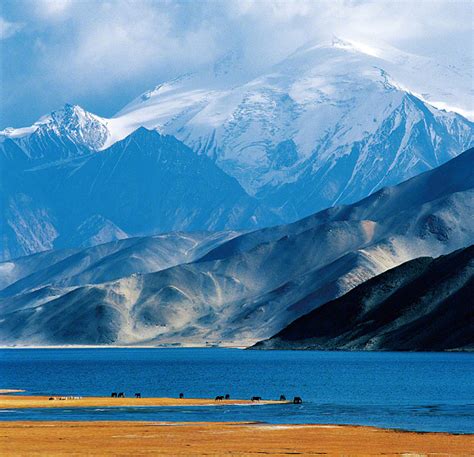 新疆维吾尔自治区地图全图_新疆维吾尔自治区电子地图