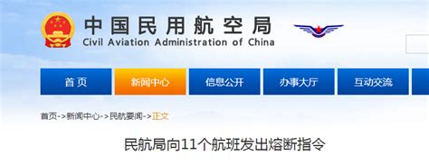 中国民航局对八个入境航班发出熔断指令 - 2022年1月10日, 俄罗斯卫星通讯社
