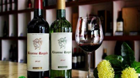 讲讲干红和葡萄酒的区别-1.2 葡萄酒的种类与风格-吃酒品鉴-
